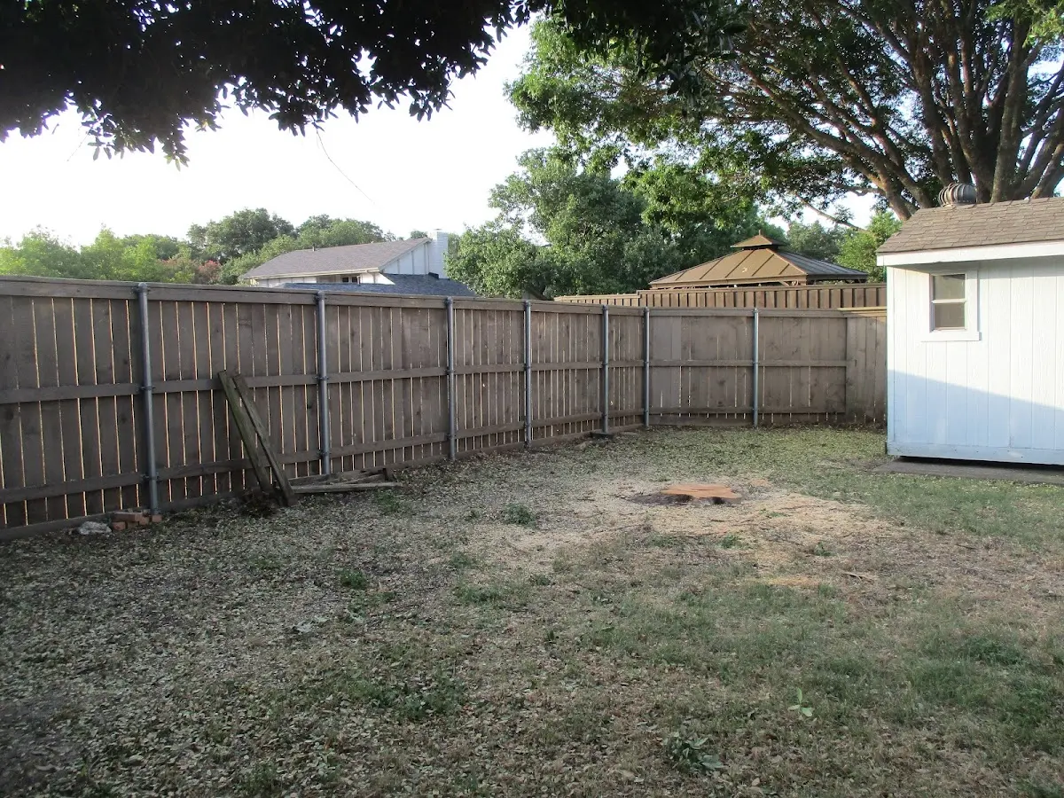 Cleared yard after professional tree removal in Pearl River